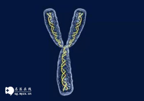 教你如何正确使用胎心仪，更好地关注宝宝健康