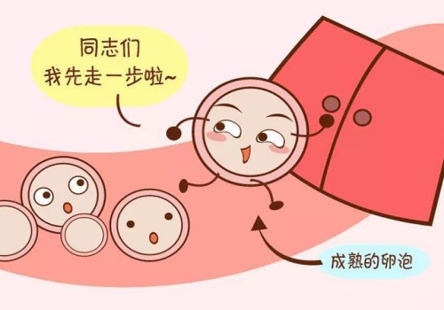 多囊卵巢自然受孕的概率有几何？现代医学帮你成功受孕