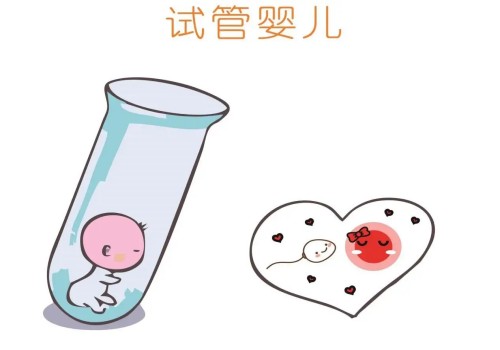 广州试管助孕价格：2023兰大一院试管婴儿成功怀孩子策略，助孕成功率多少